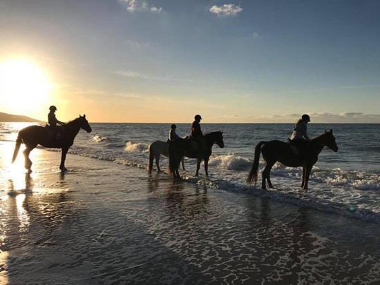 Les Pieds Dans L'Eau - Acces Direct A La Plage Bernieres-sur-Mer Ngoại thất bức ảnh