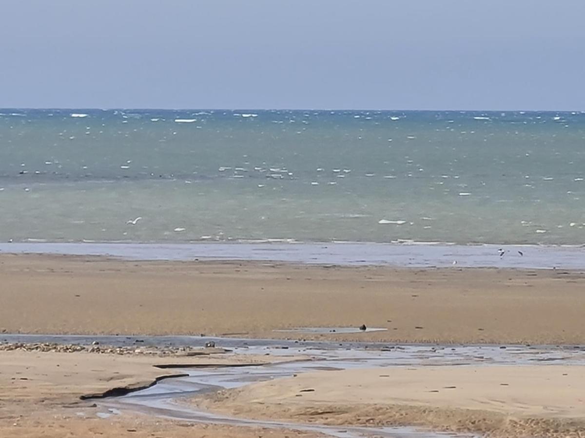 Les Pieds Dans L'Eau - Acces Direct A La Plage Bernieres-sur-Mer Ngoại thất bức ảnh